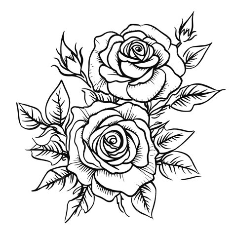 black and white pics of roses|black and white rose illustration.